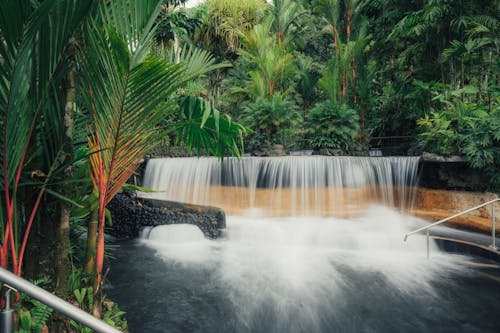 Photos gratuites de cascade, costa rica, eau
