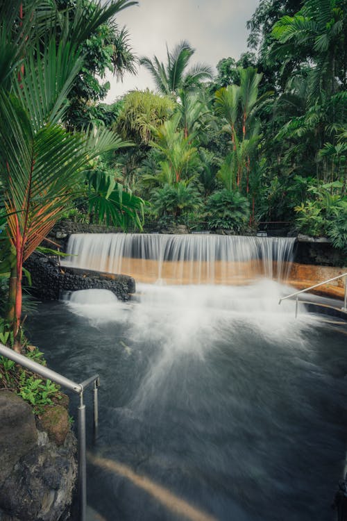 Trees around Waterfall