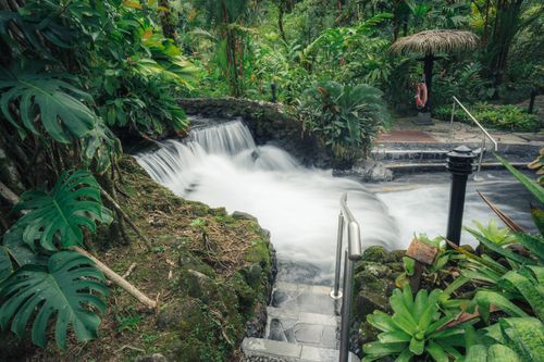 Free A serene tropical waterfall amid lush greenery in a natural garden setting, perfect for relaxation. Stock Photo