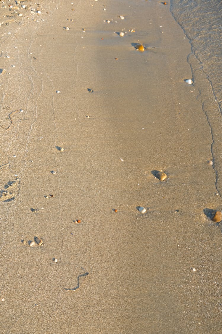 Wet Sand On Beach