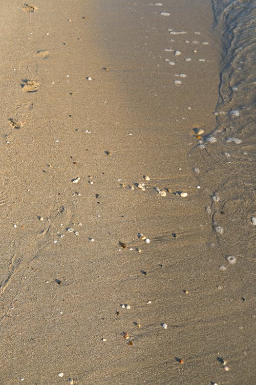 Základová fotografie zdarma na téma mokrý, oblázky, písek