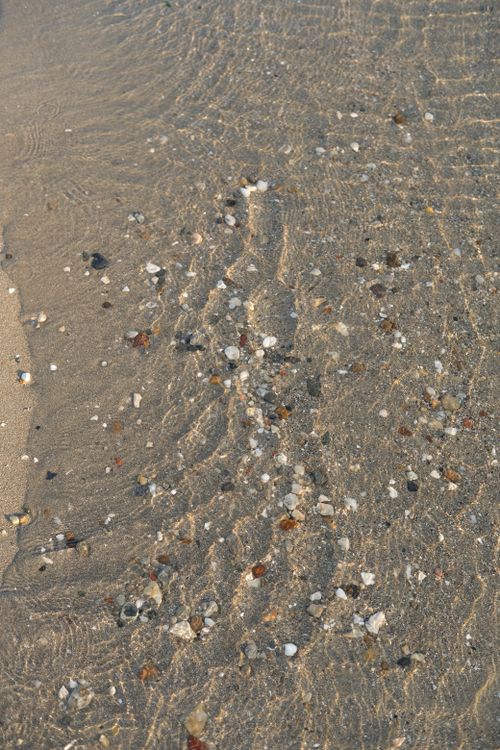 Free Tranquil coastline with shells and pebbles under clear ocean water breaking on the sandy shore. Stock Photo