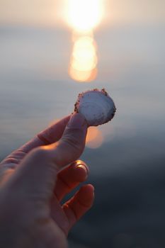 Close-up of hand holding a seashell against the ocean, with a beautiful sunset in the background.