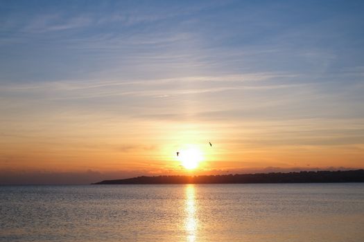 Peaceful sunset view over the Bosphorus Strait with flying birds and calm waters.