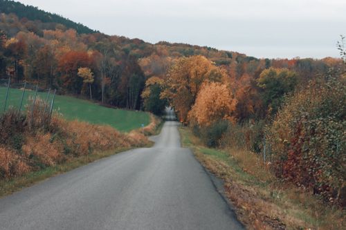 Free A picturesque road surrounded by colorful autumn trees, perfect for a fall wallpaper. Stock Photo