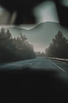 A serene highway view through forested mountains, captured at dawn with mist lingering.
