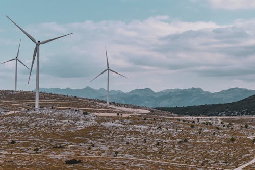 Windmills on the Field 