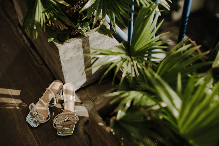 Shoes On Floor Near Plants