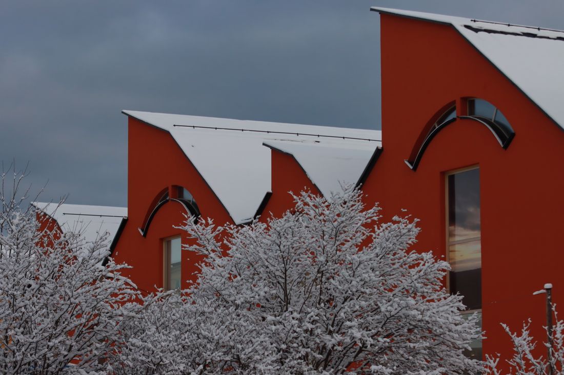 Contemporary architecture with snowy trees against a winter sky