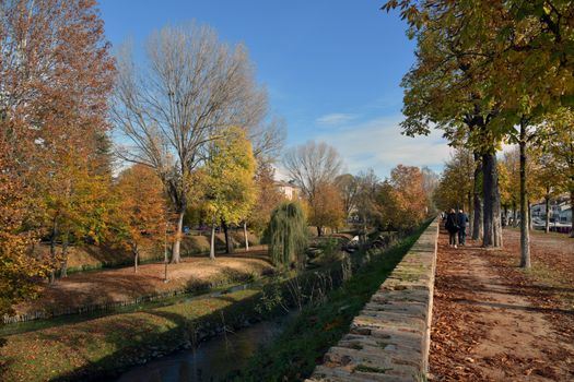 Enjoy a scenic autumn walk along a picturesque canal in Treviso, Italy with vibrant foliage.