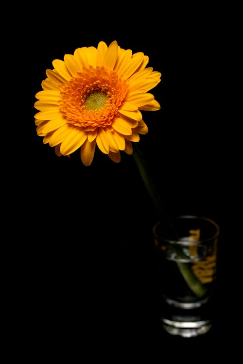 花瓶里的黄色花