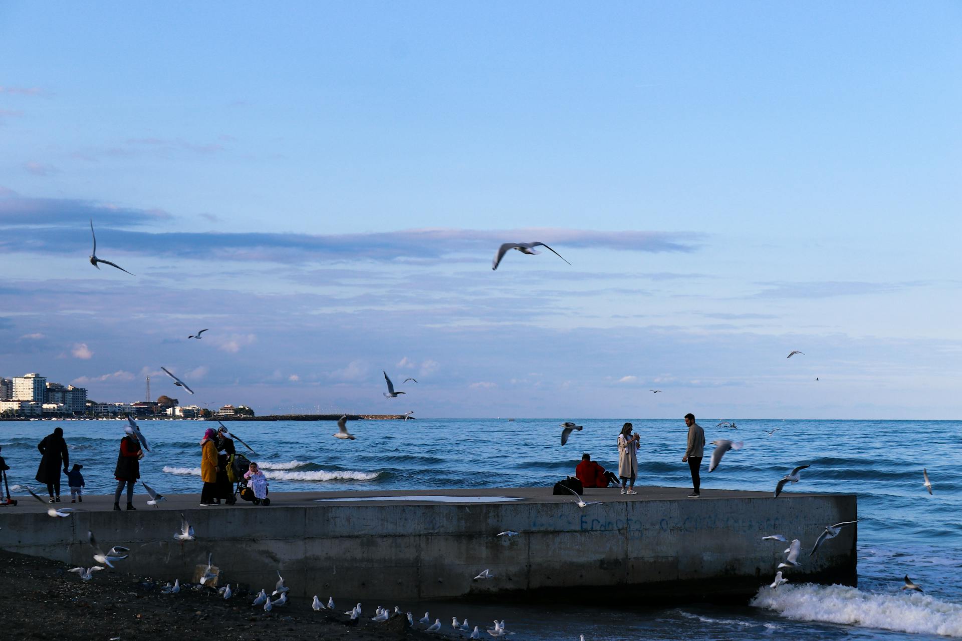 A serene seaside scene with people and seagulls on a concrete dock at sunset.