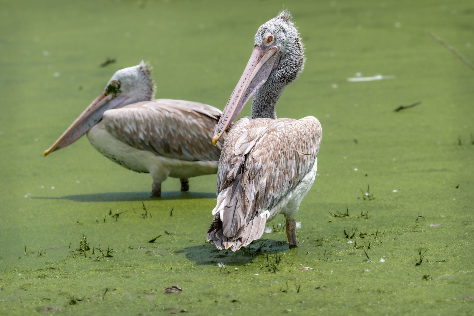 Wildlife and Scenery: What You'll See on the Water
