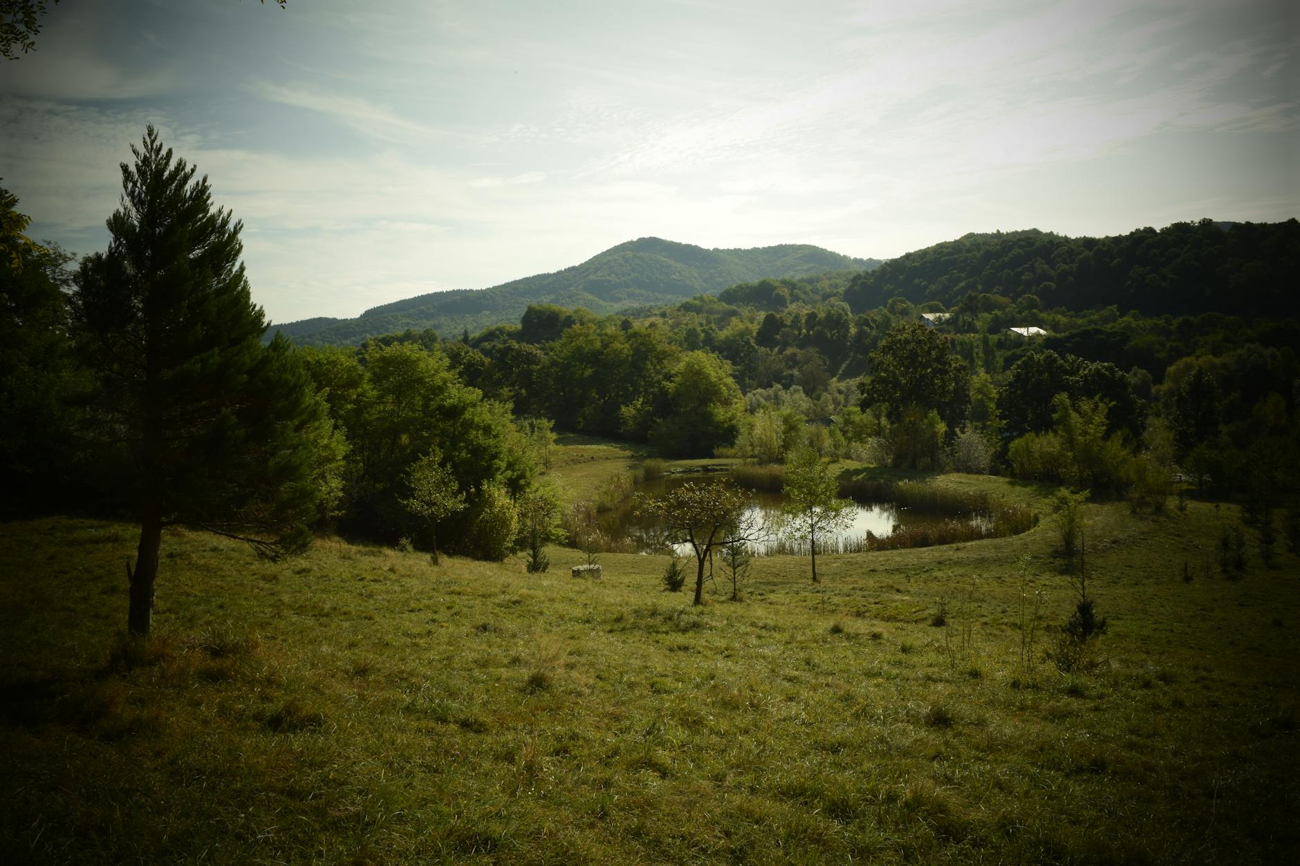 Popular sights in Sighetu Marmatiei Landmarks in Sighetu Marmatiei