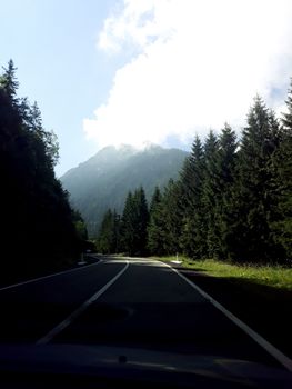 A tranquil mountain road lined with dense pine forest under a bright sky.