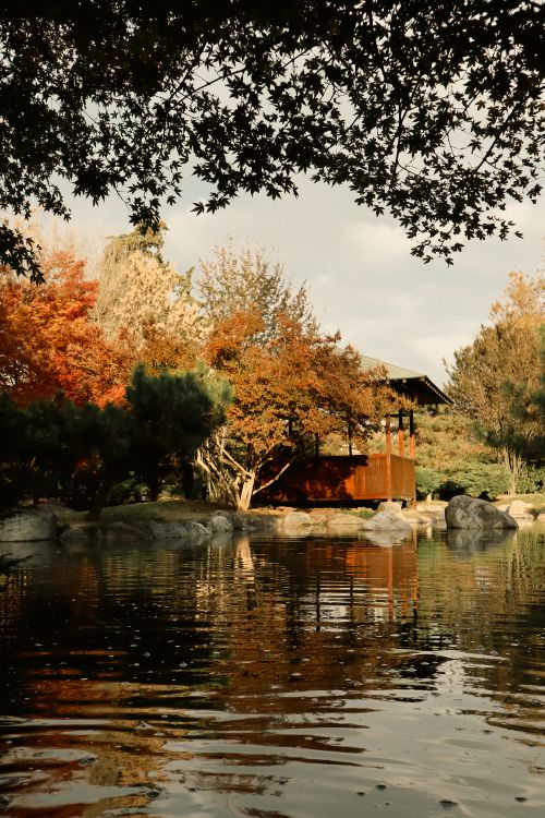 Free Peaceful autumn scene of a park with trees, pond, and pavilion in İstanbul, Turkey. Stock Photo