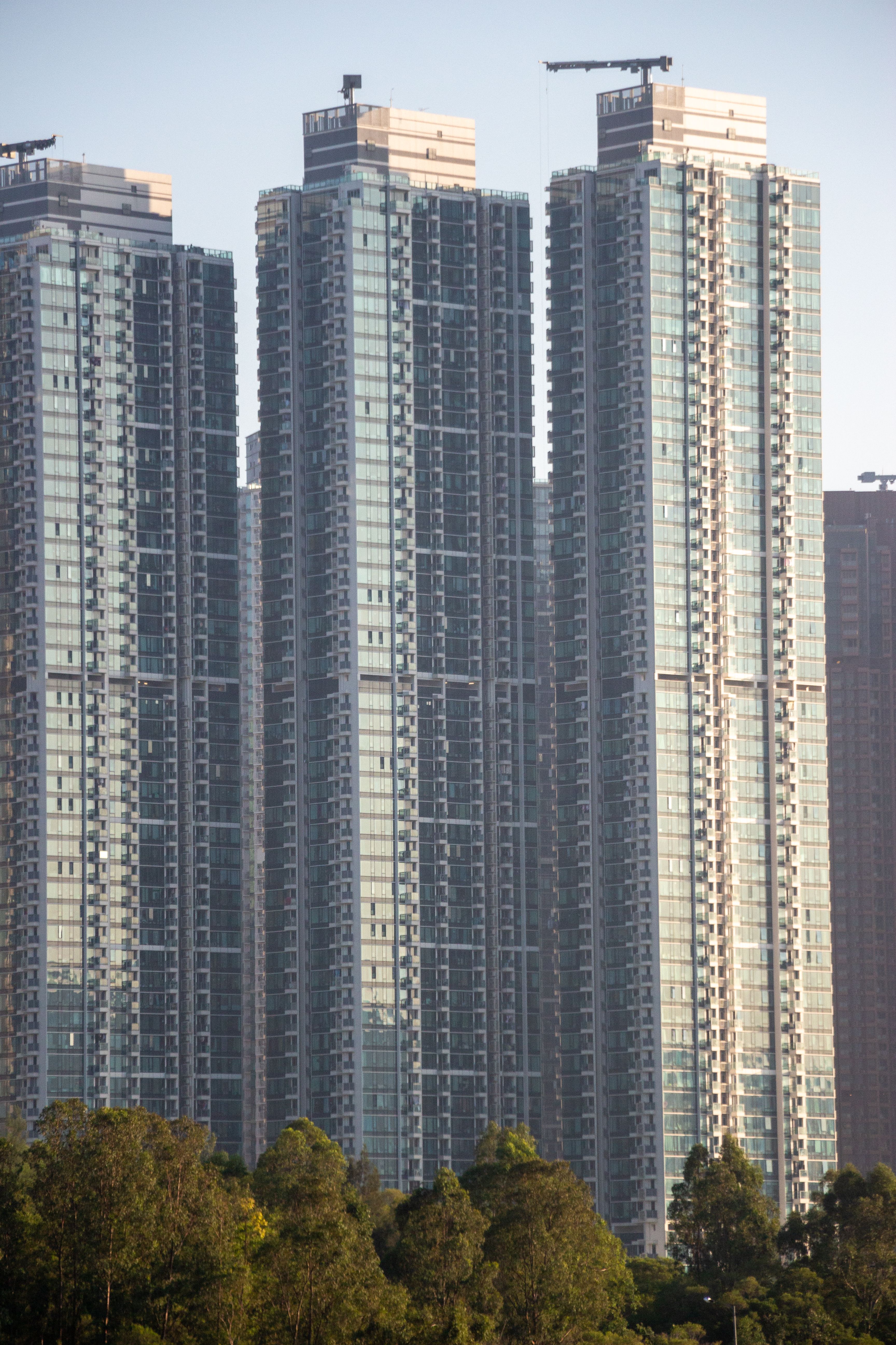 Green Trees Beside City Buildings · Free Stock Photo