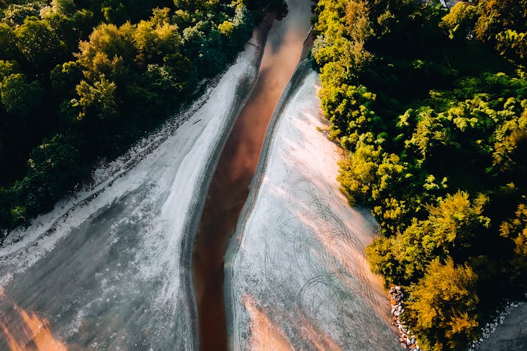 Top View Of Forest And River