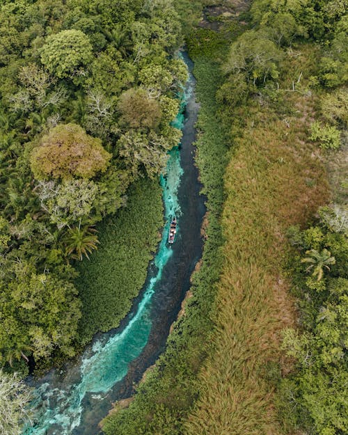 Flutuação Rio Sucuri   Bonite Ms