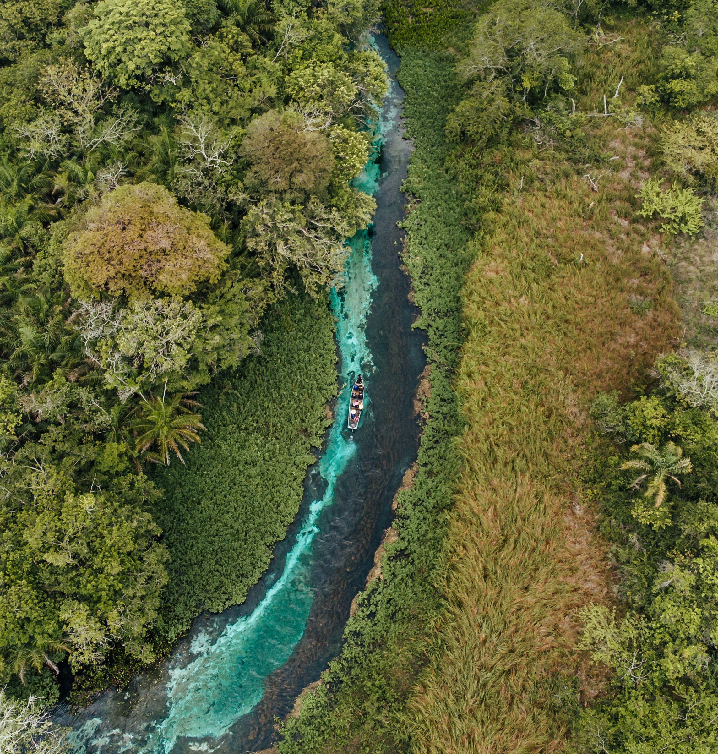 Quanto Custa uma Viagem para Bonito e Pantanal