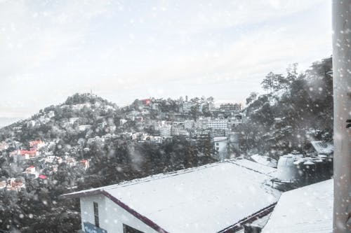 snow fall in Shimla 2022