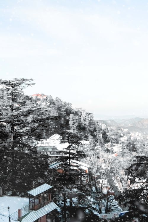 ağır kar, cennet arka plan, dağ vadisi içeren Ücretsiz stok fotoğraf