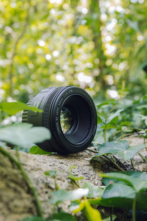 Fotobanka s bezplatnými fotkami na tému clona, fotoaparát, objektív