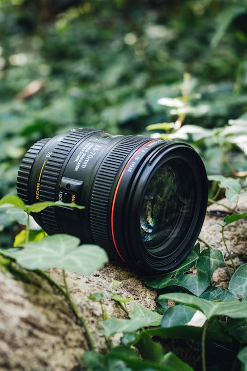 Close-Up Photo of a Camera Lens on a Tree Trunk