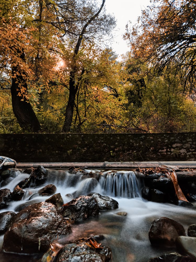 Cascade On River