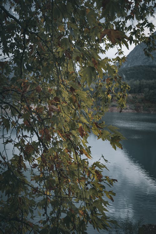 Fotobanka s bezplatnými fotkami na tému cestovné destinácie, jazero, krajina