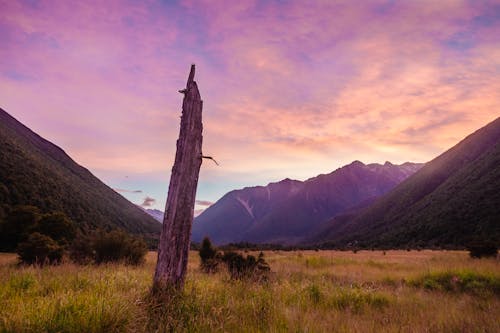 Grass Field near Mountains during Sunset