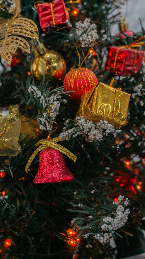 Photos gratuites de arbre de noël, babioles, célébration