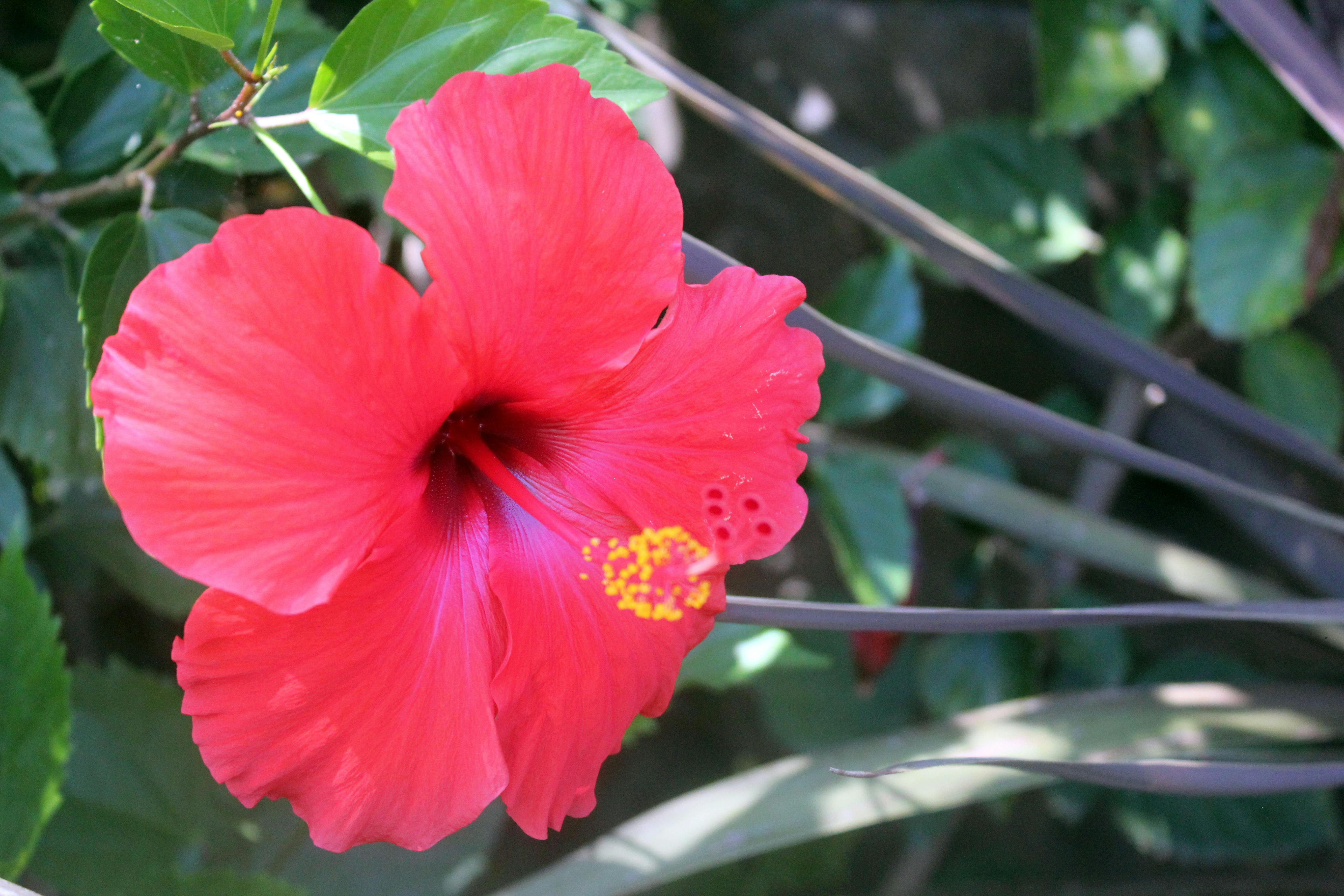수분 보충과 건강 관리