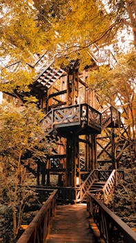 A scenic wooden tower with stairs surrounded by dense green forest in Paraná, Brazil.