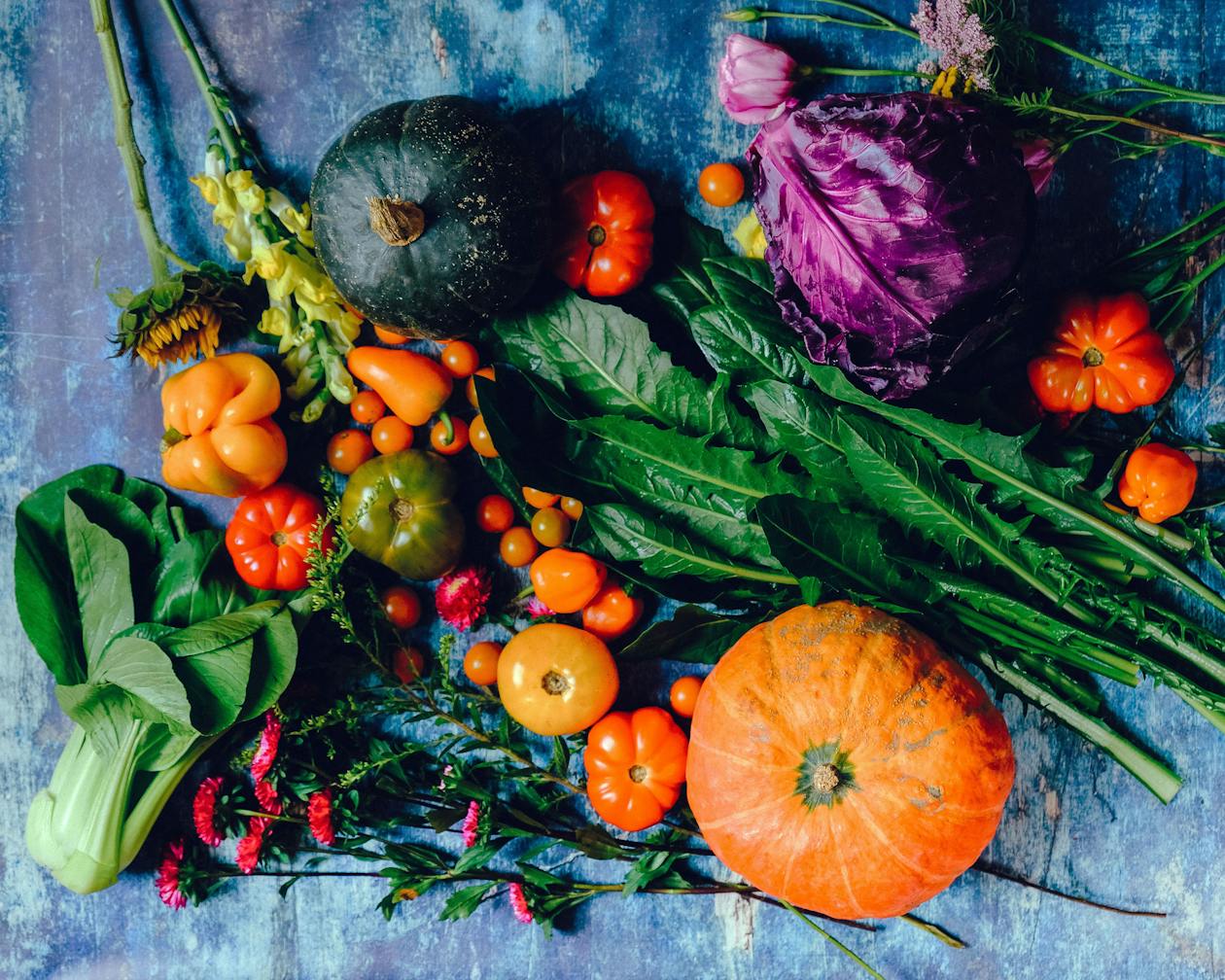 Seasonal Shopping Guide: Spring Edition