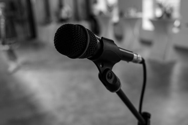 Grayscale Photo Of A Microphone