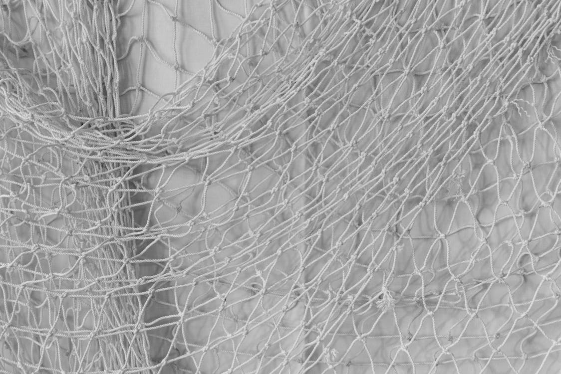 Close-Up Shot of White Fish Net · Free Stock Photo