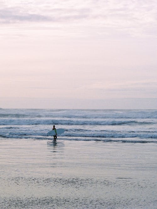 Foto d'estoc gratuïta de cultura de surf, esbarjo, estiu