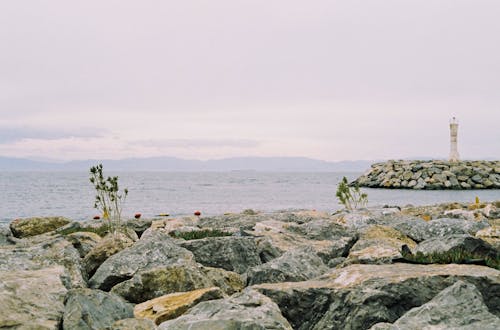 Rocks on Sea Shore