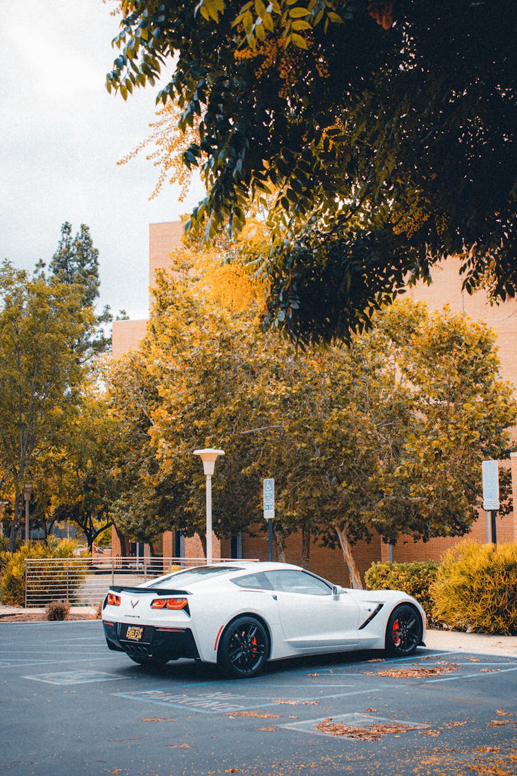 A White Sports Car Parked On The Road