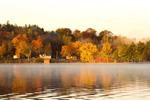 Free Autumn Trees by the Lake Stock Photo