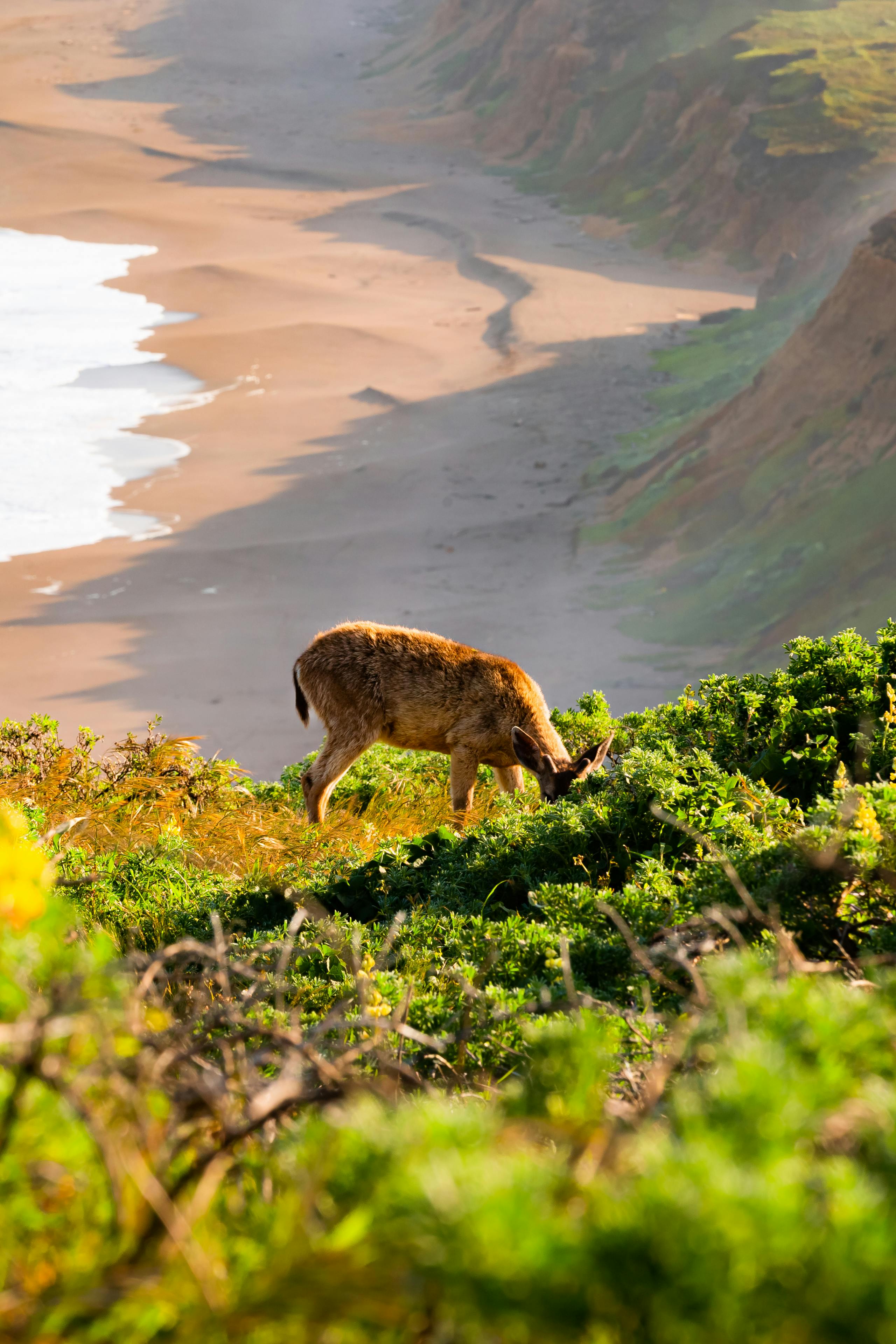 What does 10x wager mean?