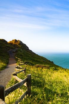 Explore the scenic coastal trail with ocean views and lush greenery at Point Reyes National Seashore.