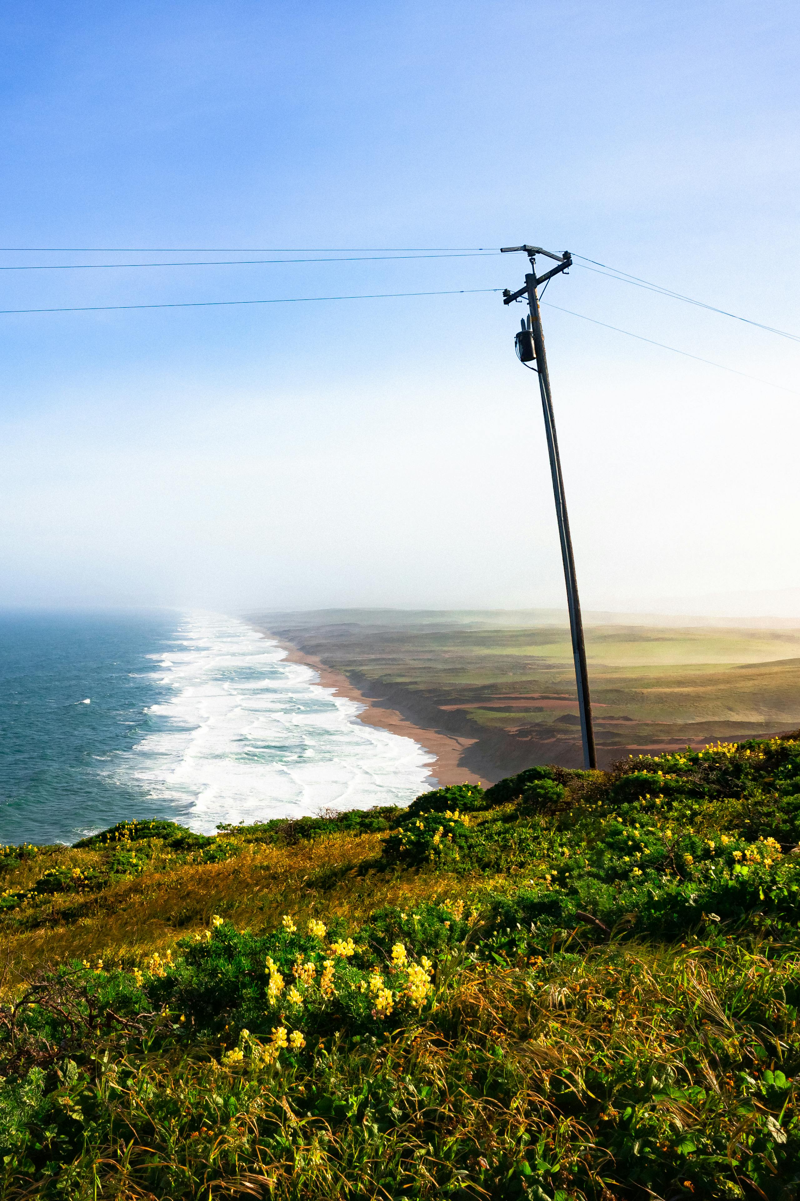 Breathtaking seashore view of Point Reyes with lush greenery and ocean waves.