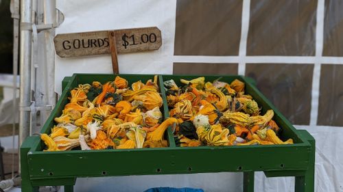 Free Gourd stand 1 Stock Photo