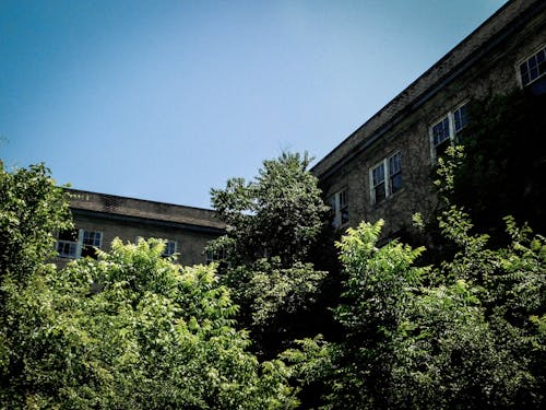 Free stock photo of abandoned building, overgrown, rundown