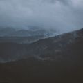 Windfall fold cover — photo by Andreas Ebner on Pexels
