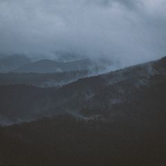 Cover art — photo by Andreas Ebner on Pexels