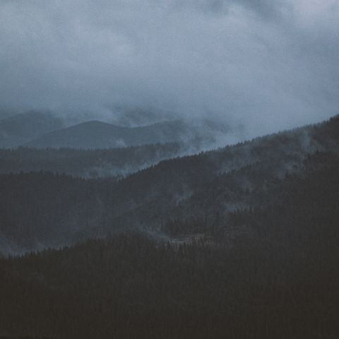Mist settling across a forested mountain ridge — Andreas Ebner on Pexels