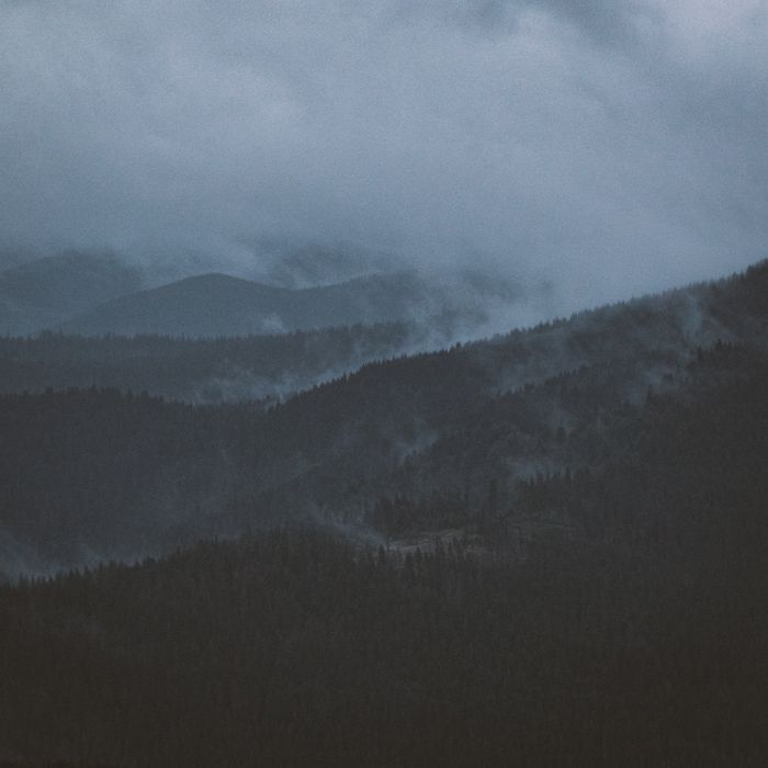 Misty mountain valley, photo by Andreas Ebner on Pexels